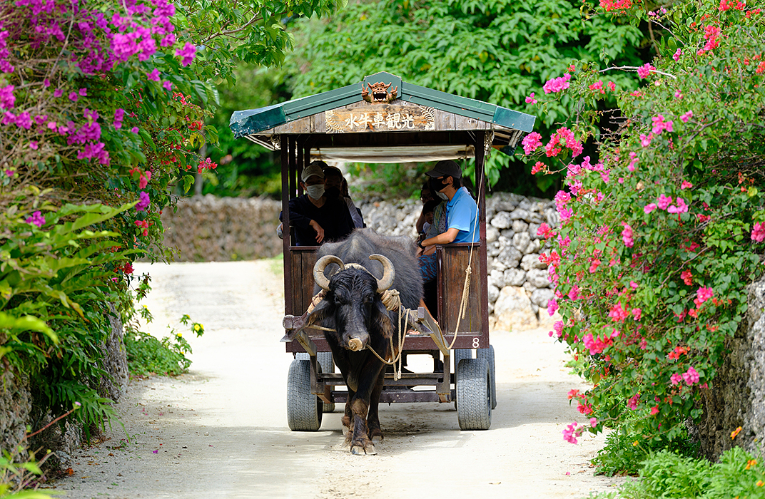 Easy 24-hour booking. Tour Kumamoto and Aso and Okinawa and Ishigaki by rental bike. LOMACA MOTOs